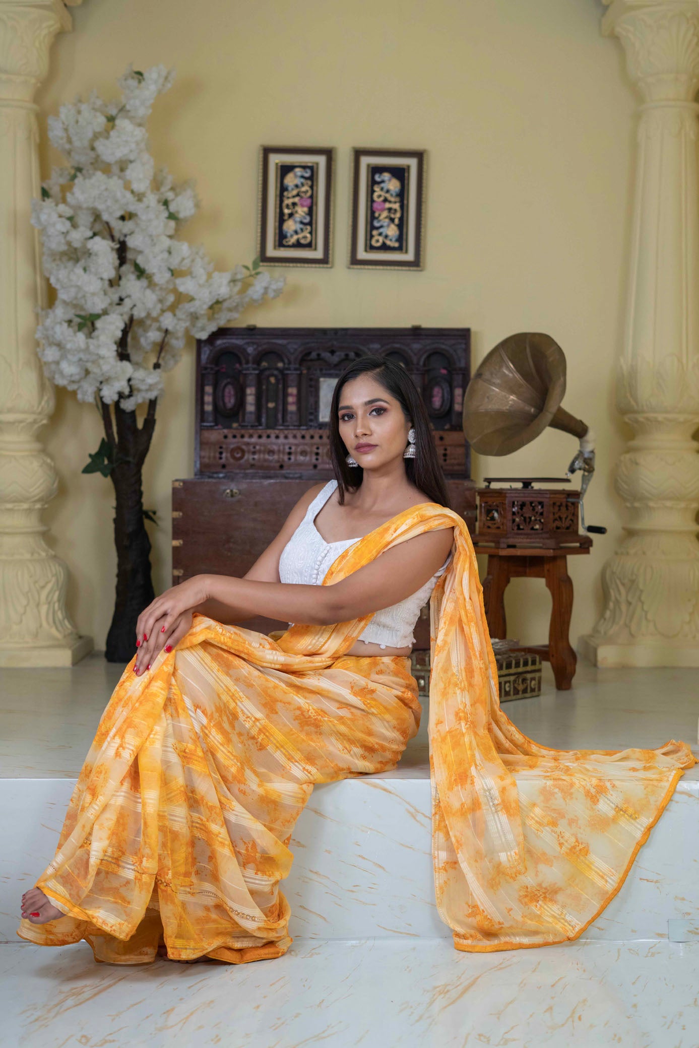 Chiffon Designer Saree