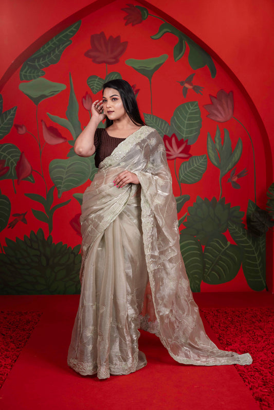 Burberry Silk Saree